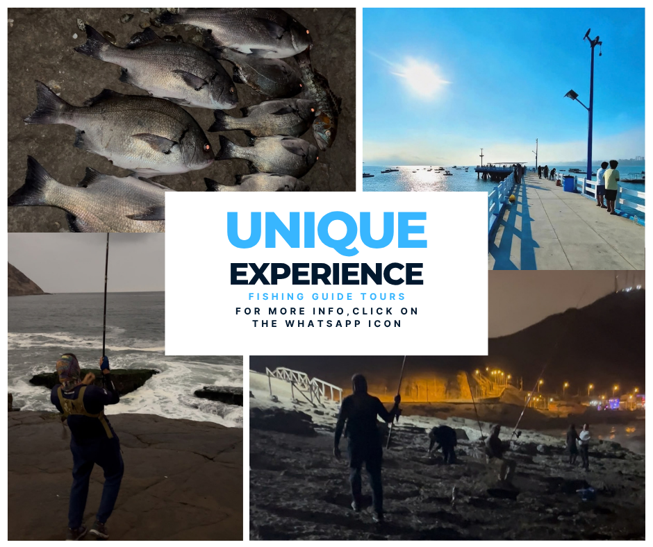 Authentic fishing experience in Chorrillos
